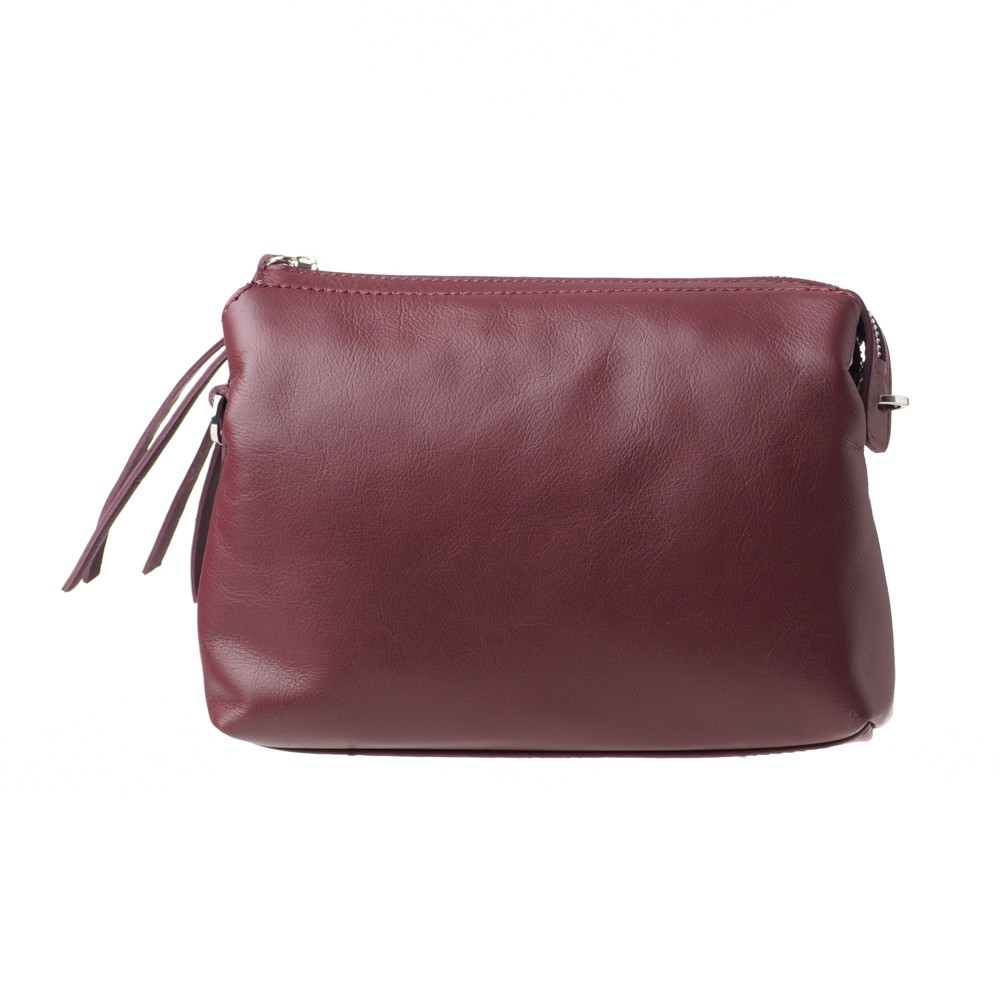 Women's Leather Crossbody Bag (822)